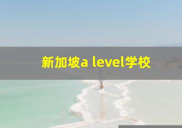 新加坡a level学校